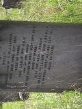 image of grave number 453101
